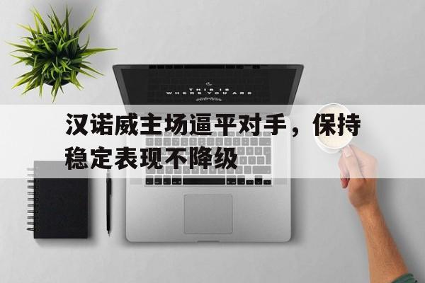 汉诺威主场逼平对手，保持稳定表现不降级的简单介绍