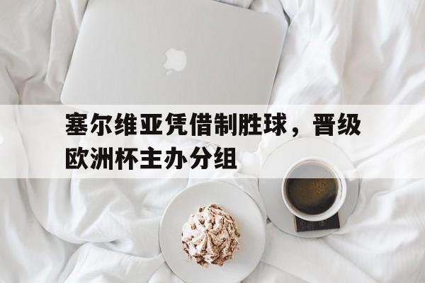 塞尔维亚凭借制胜球，晋级欧洲杯主办分组的简单介绍