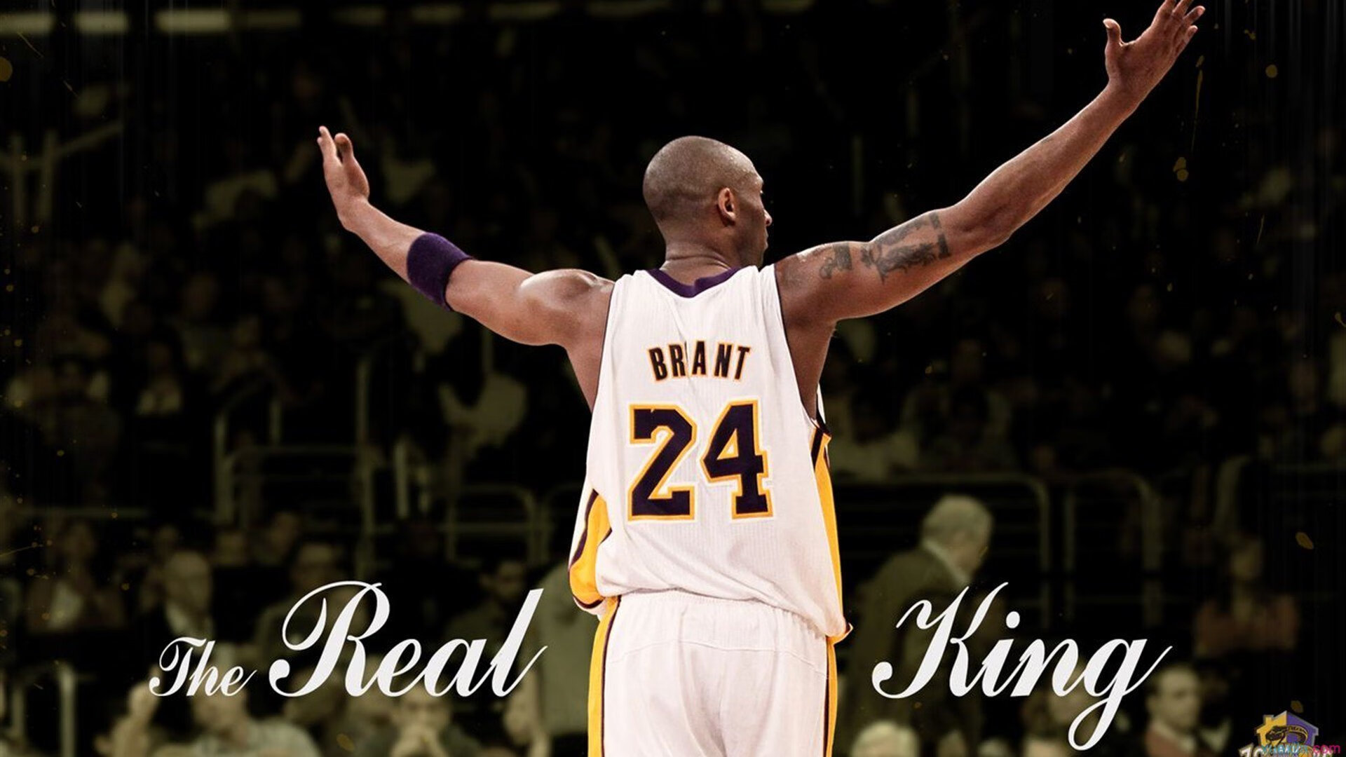 开云线上官网-领先优势明显首场状态出色，拜仁观众沸腾！，Rookie重返赛场热度持续攀升